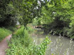 Basingstoke Canal View 3ww edit