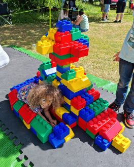 All the fun of Lego at Funfest